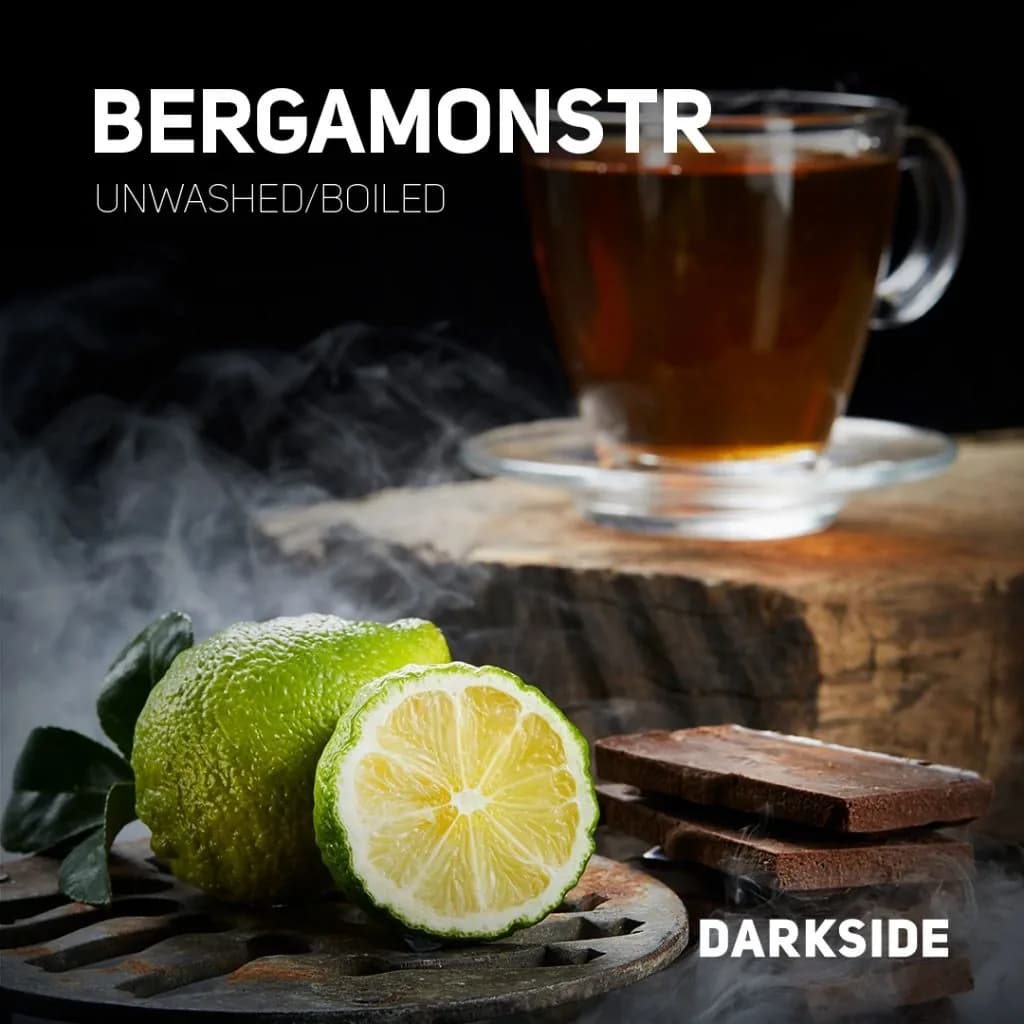 BERGAMONSTR от DARKSIDE