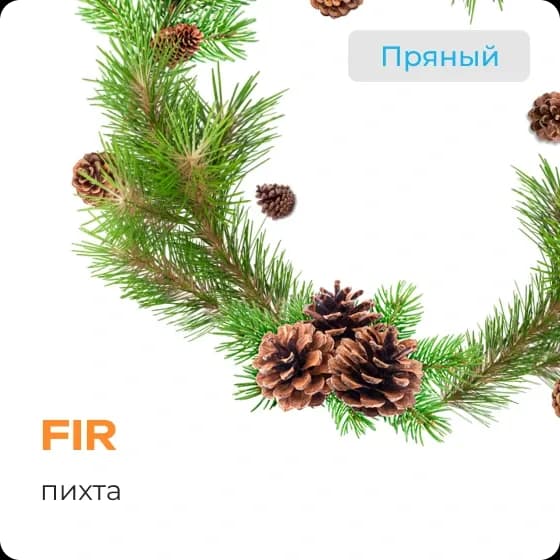 FIR от Element
