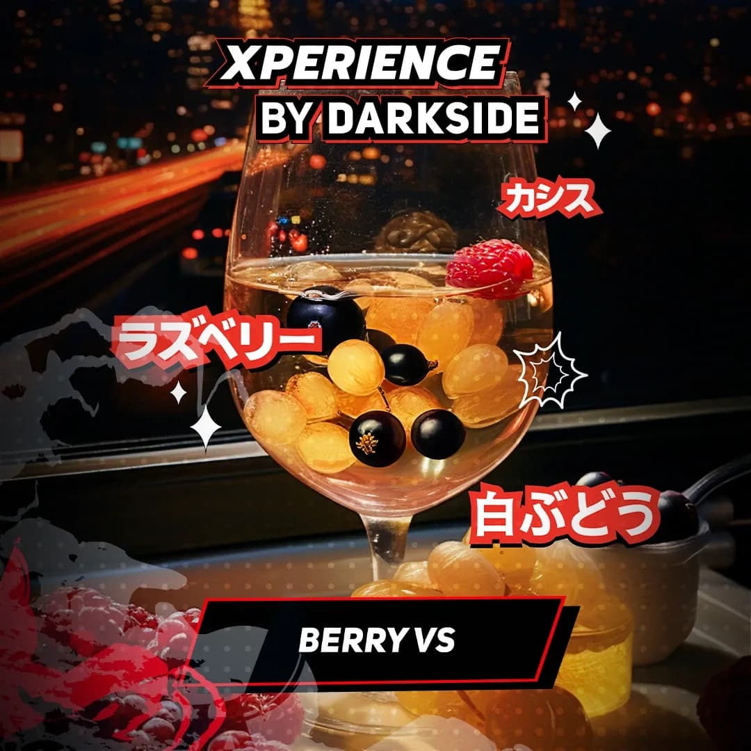 BERRY VS от DARKSIDE