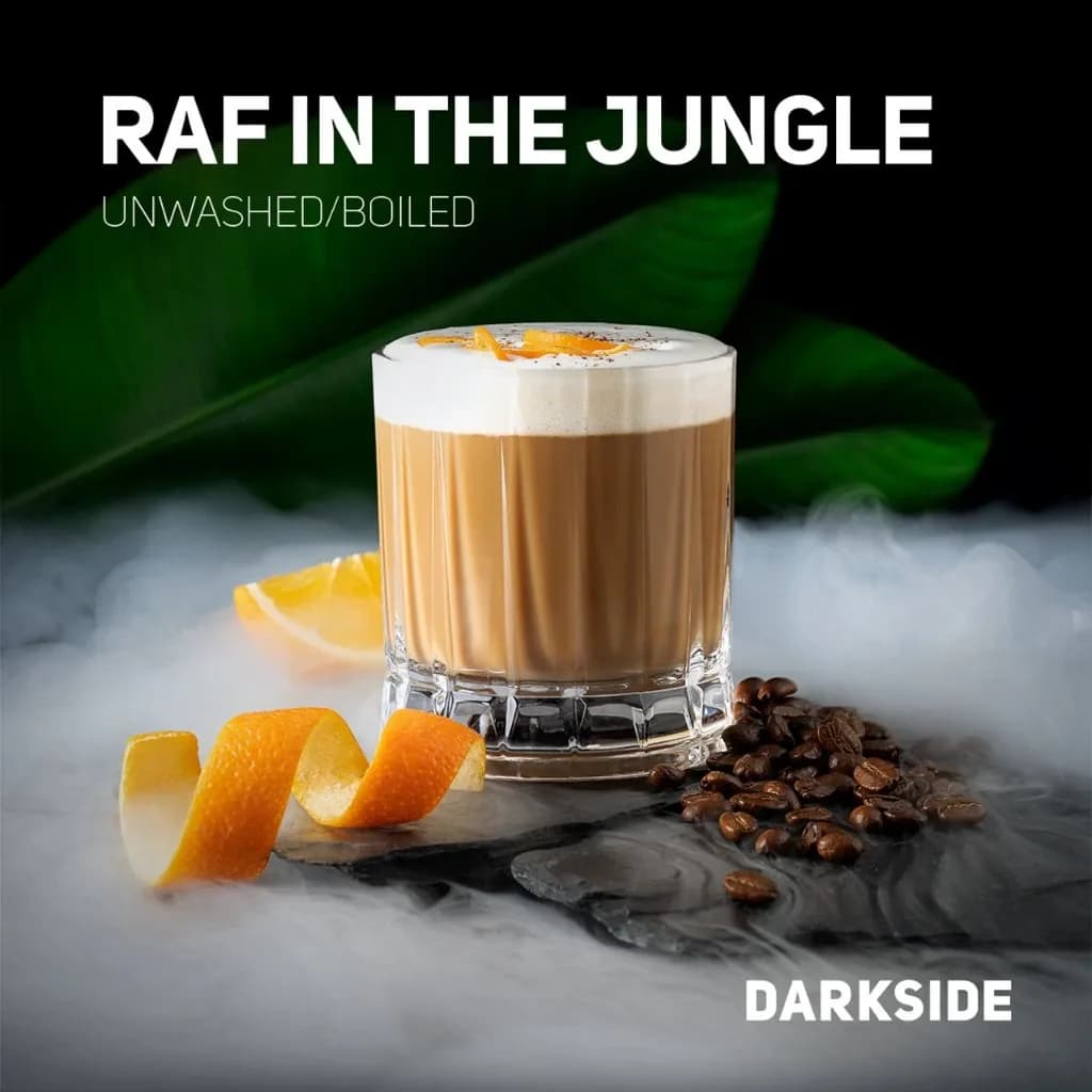 RAF IN THE JUNGLE от DARKSIDE