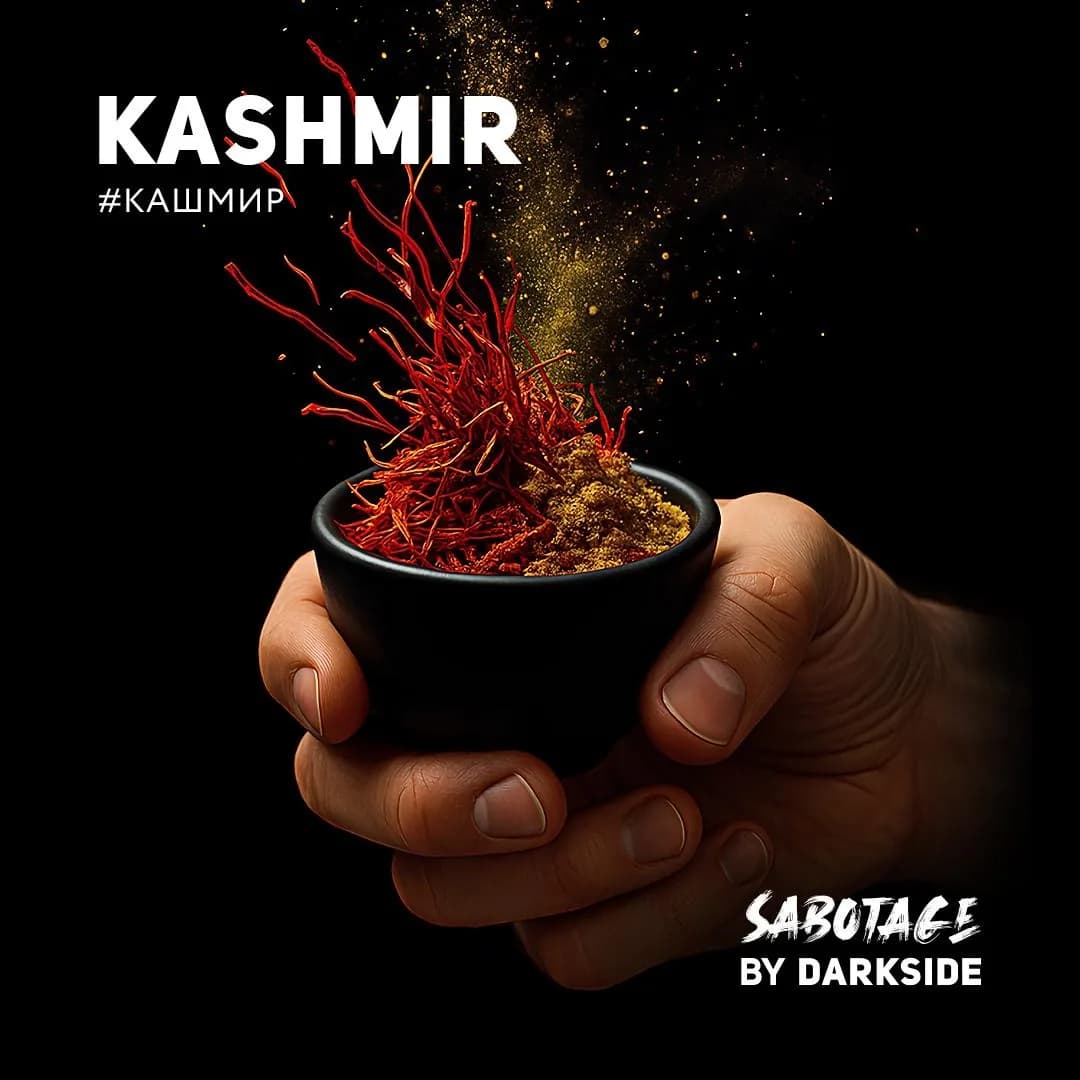 KASHMIR от DARKSIDE
