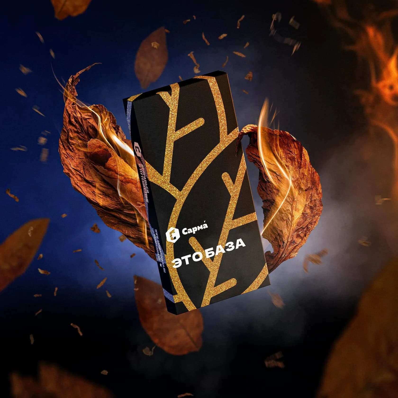 Это База