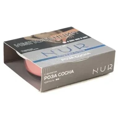 Роза сосна от Nur