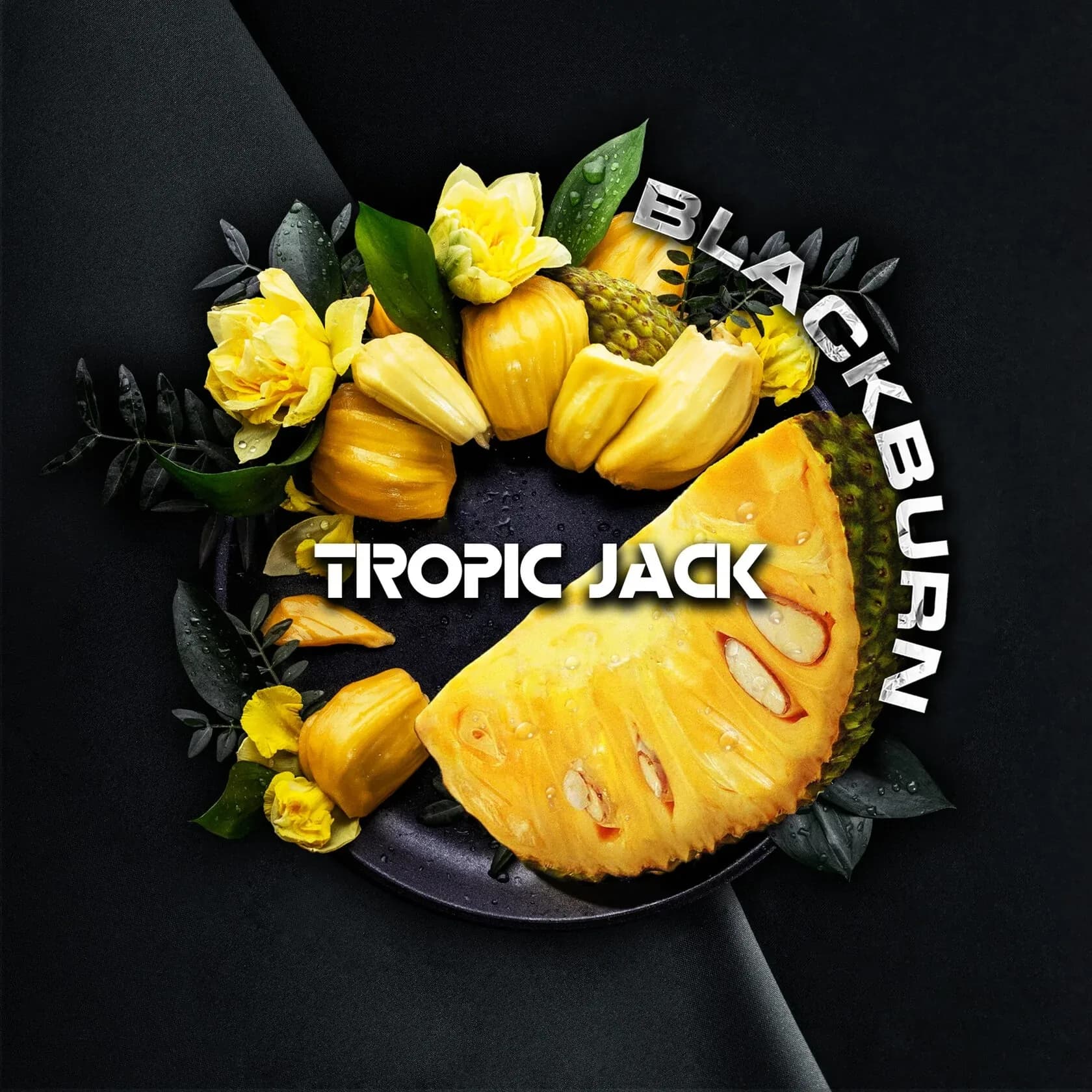 Tropic Jack