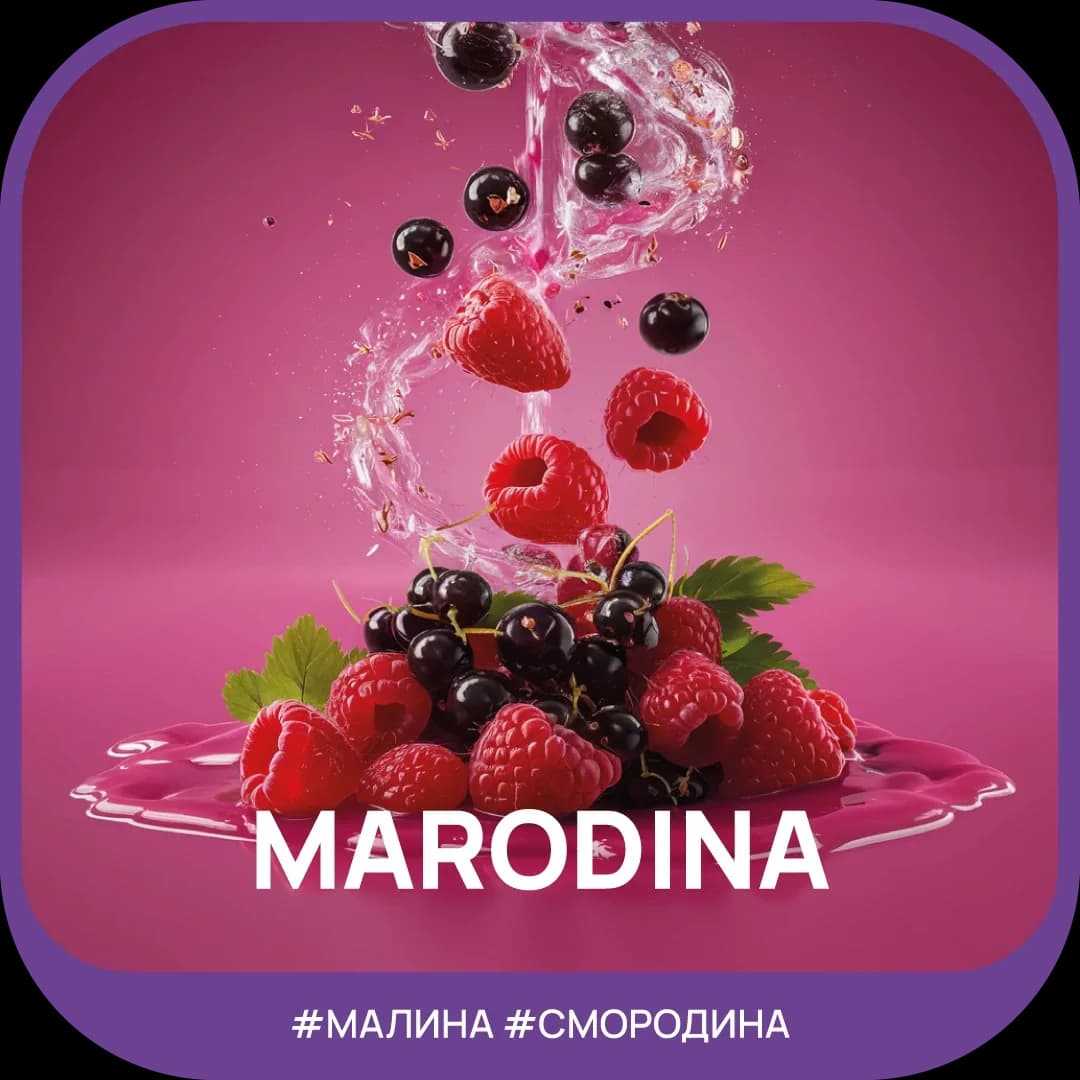 Marodina