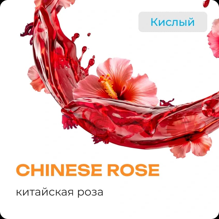 CHINESE ROSE