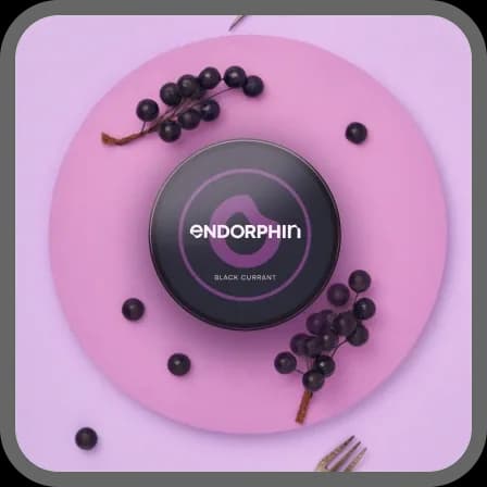 BLACK CURRANT