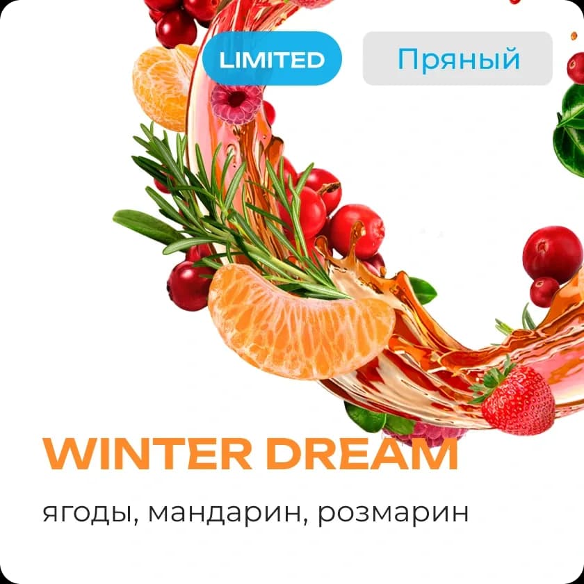 WINTER DREAM