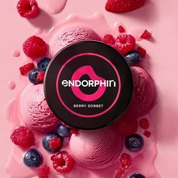 BERRY SORBET