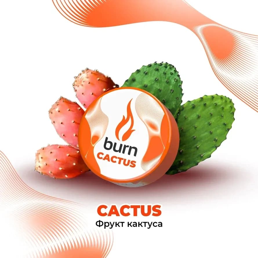 Фрукт Кактуса от Burn